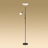 Торшер декоративный Odeon Light 2463/F