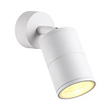 Уличный светильник настенный Odeon Light 4208/1C