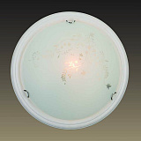 Светильник  настенно-потолочный Sonex 101/K