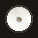 Светильник  настенно-потолочный с пультом д/у светодиодный Sonex 2054/DL