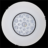 Светильник  настенно-потолочный светодиодный Sonex 228/DL