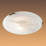 Светильник настенно-потолочный Sonex 248