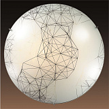 Светильник  настенно-потолочный Sonex 3217