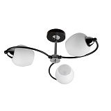 Люстра на штанге Toplight TL2770X-03WC