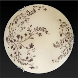 Светильник  настенно-потолочный светодиодный Toplight TL9630Y-00WH