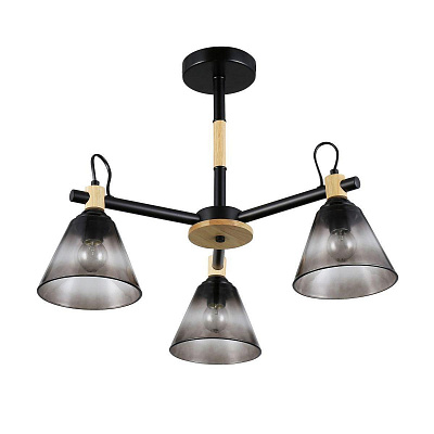 Люстра на штанге Rivoli 9117-303