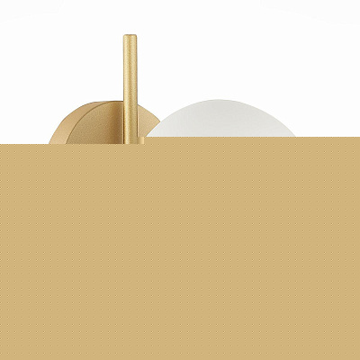 Светильник настенный ST Luce SL1148.301.01